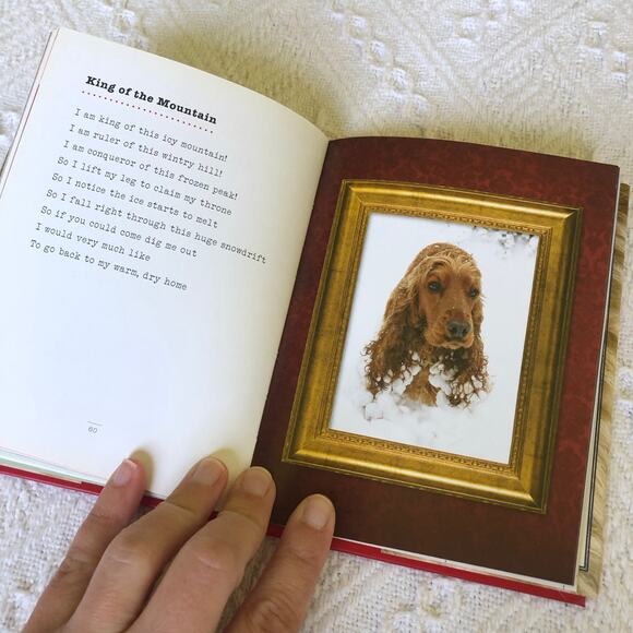 I Could Chew on This by Marciuliano, Francesco NEW Hardcover Gift Dog Lover - Picture 4 of 8